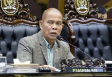 RUU SDI Atur Penguatan Kedaulatan Data Nasional