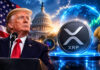Trump Benarkah Mendukung XRP? Ini Fakta di Balik Strategi Cadangan Kripto AS